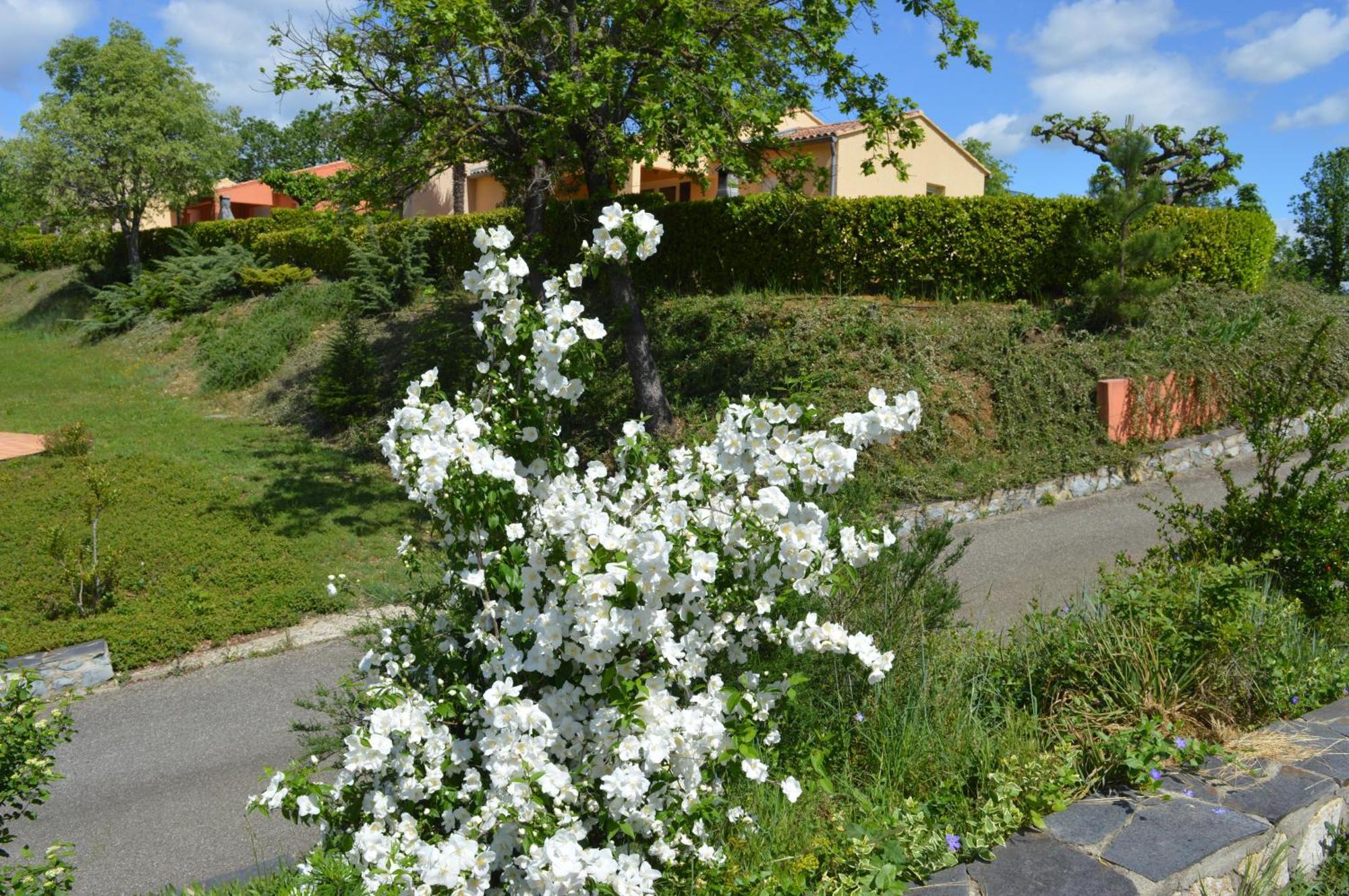 Le Moulin Villa Vallon-Pont-d'Arc Luaran gambar